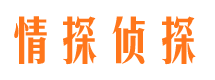 玛沁侦探公司